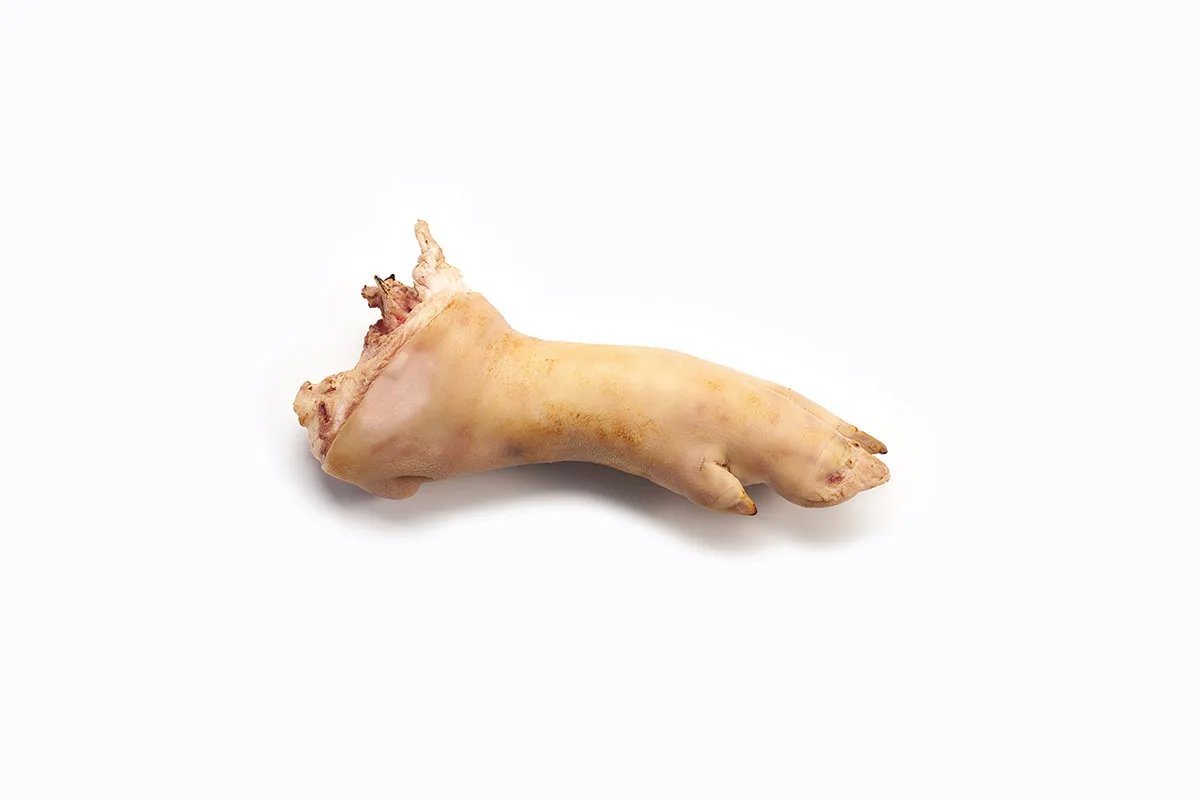 後腳
